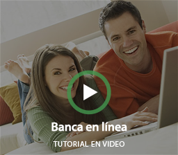 Reproductor de video interactivo