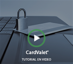 Reproductor de video interactivo
